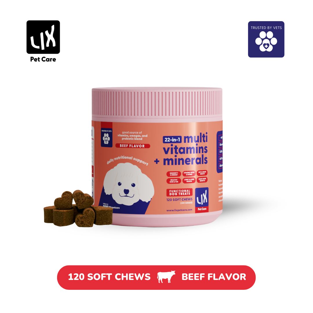Product image of LIX Pet Care 22-in-1 Multivitamins + Minerals soft chews for dogs, beef flavor with 120 chews per tub.