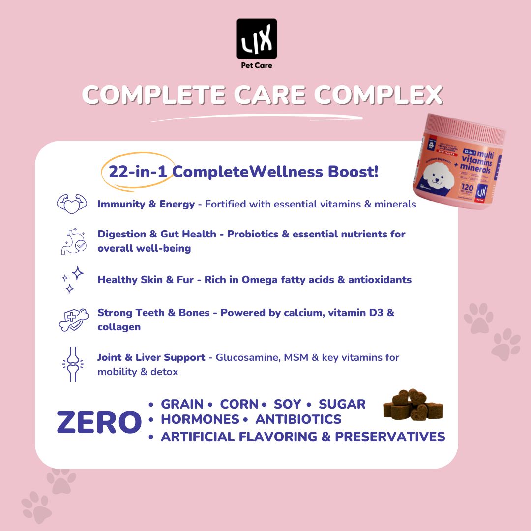 Infographic highlighting the health benefits of LIX Pet Care’s 22-in-1 Multivitamins + Minerals for dogs, including immunity, skin, bones, digestion, and joints.
