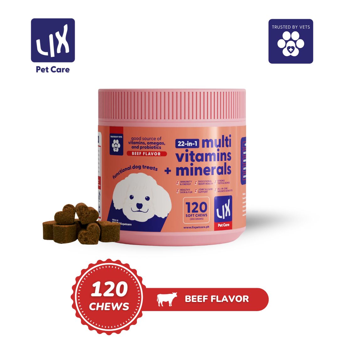 Product image of LIX Pet Care 22-in-1 Multivitamins + Minerals soft chews for dogs, beef flavor with 120 chews per tub. Dog treats for immunity, digestion, and total wellness.